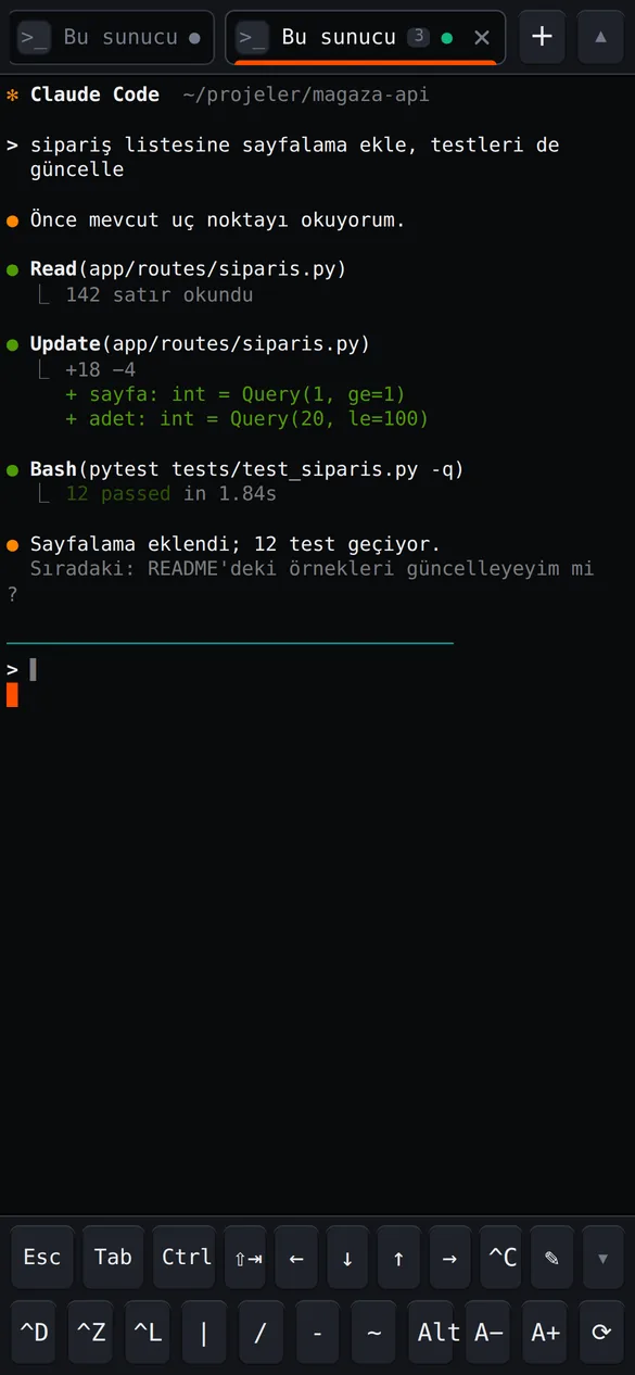 HK Terminal'de örnek projede dosya okuyan, düzenleyen ve testleri tamamlayan Claude Code oturumu ile telefon tuş şeridi