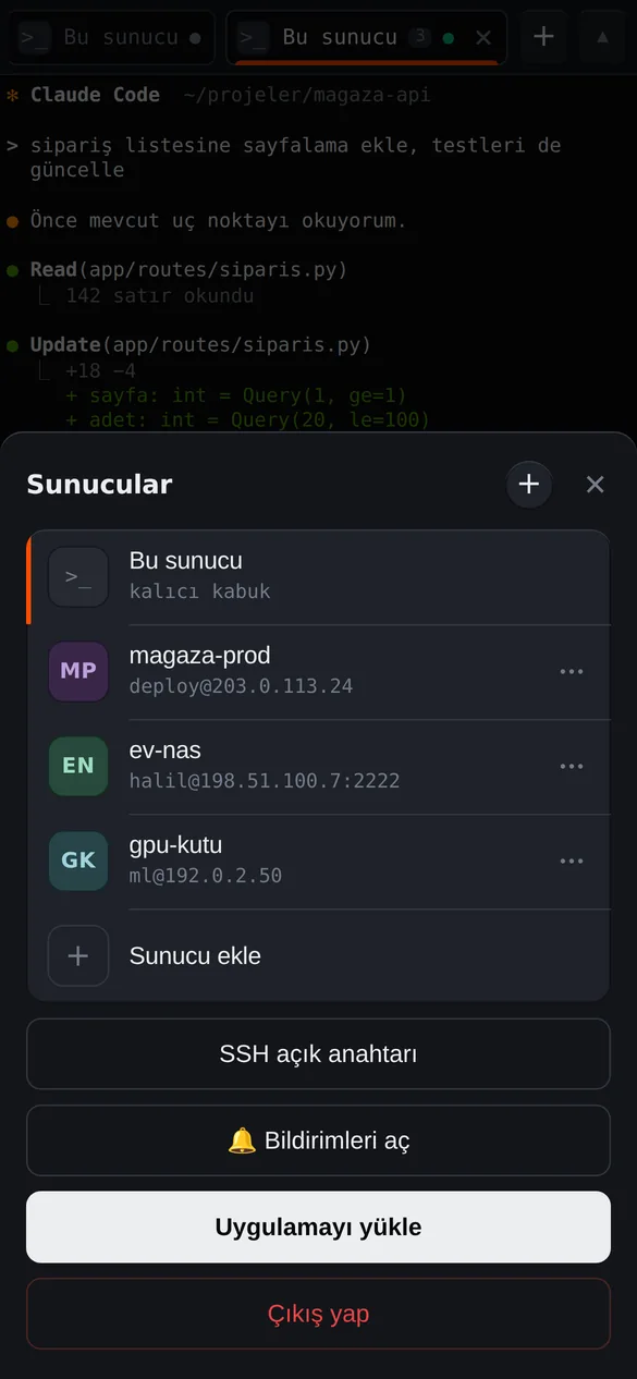 HK Terminal sunucular panelinde bu sunucu, örnek SSH sunucuları, SSH açık anahtarı, bildirim ve uygulama kurulum seçenekleri